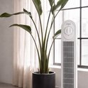 Witte torenventilator naast een grote groene kamerplant en achtergordijnen.