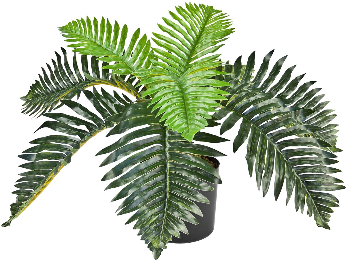 Kunstmatige Valse Plant Palm Decoratie Bininnen 50cm DECOVEGO