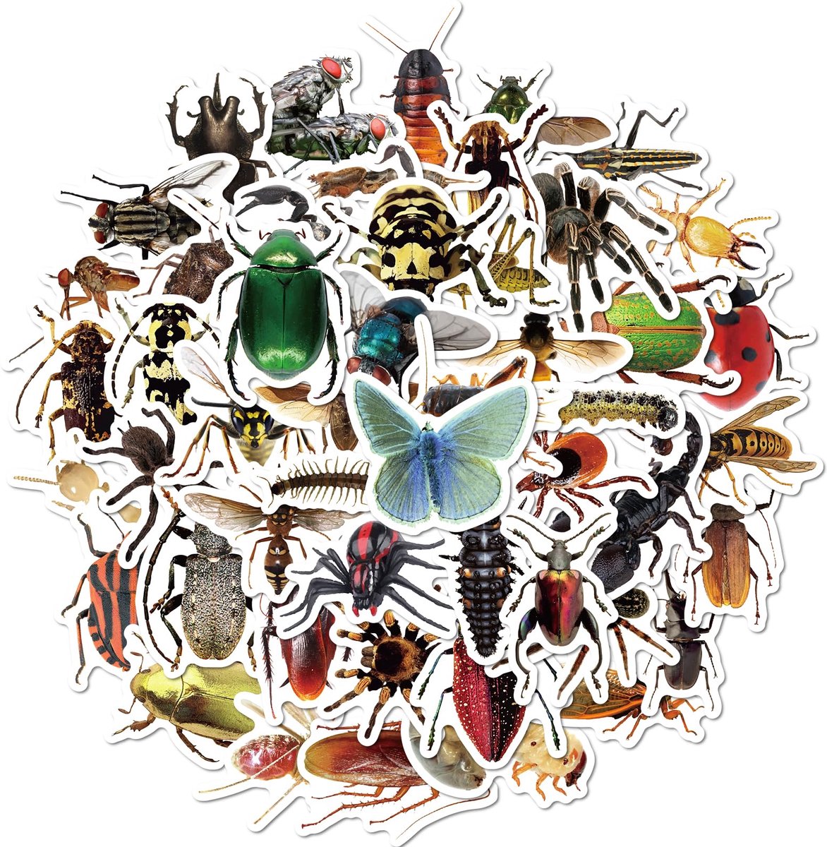 50x Insectenstickers - Dieren stickers - Kever - Vlinder - Libelle - Rups - Insect stickers - Natuur - Bulletjournal - Laptopstickers - Waterfles stickers - Knutselen - Decoratie - Jonyx