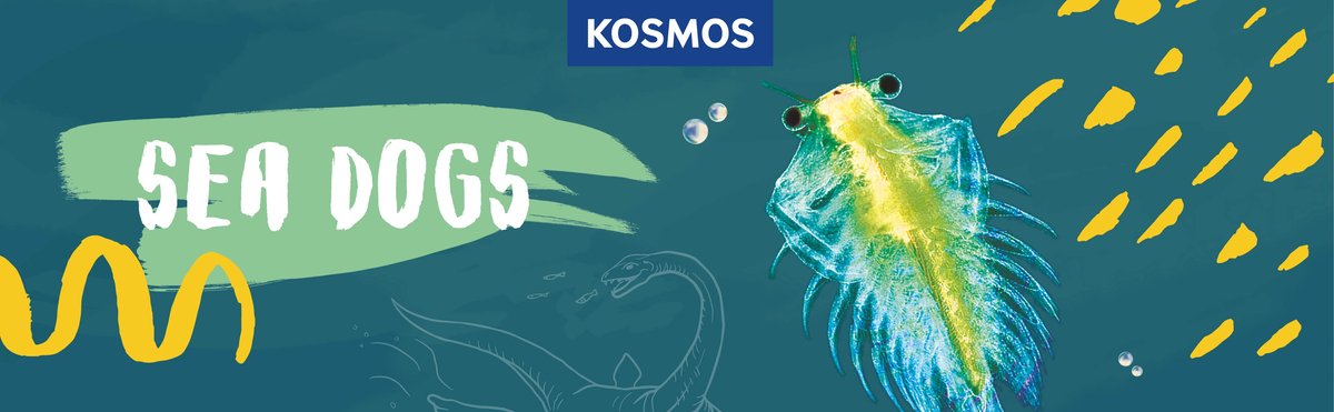 KOSMOS Sea Dogs - Experimenteerset - Kweek Je Eigen Pekelkreeftjes - Ontdek Artemia Uit de Tijd van de Dinosauriërs - Inclusief Vergrootglas - STEM Speelgoed - Vanaf 8 Jaar — afbeelding 5