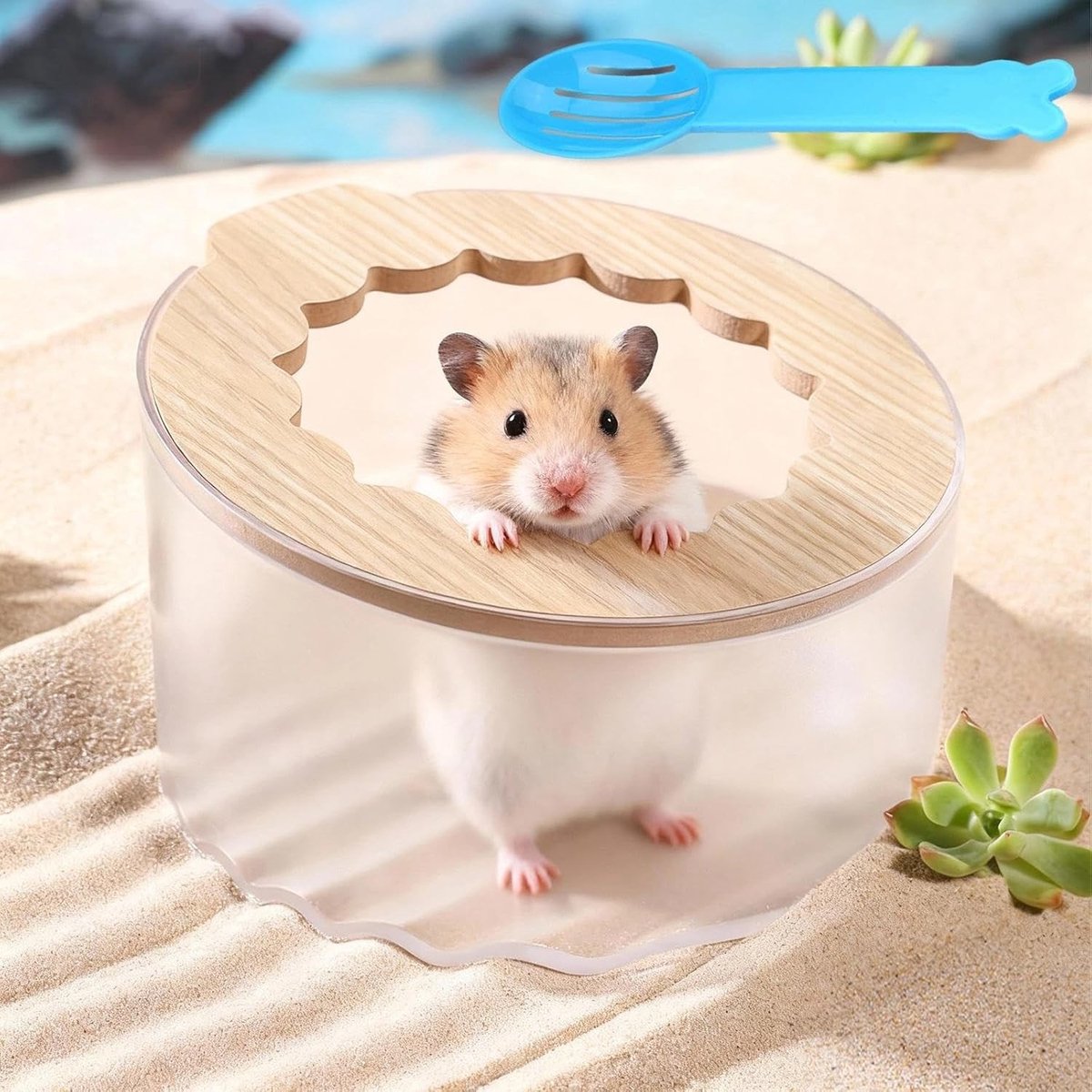 Zandbad voor hamsters met boveninvoer, antislip basis en textuur voor optimale grip – eenvoudig schoon te maken en transparant ontwerp