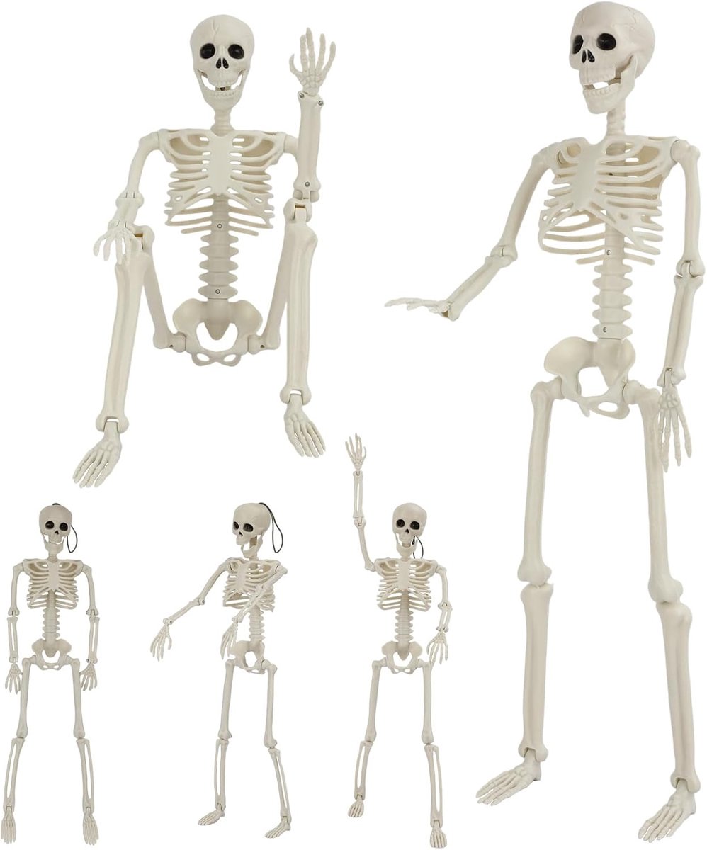 5 Stukken Skelet Decoratie, 2 PCS 90 cm Volledig Lichaam Skelet met Beweegbare Gewrichten Halloween, 3 PCS 40 cm Skeletdecoratie, Buiten en Binnen Gebruikbaar