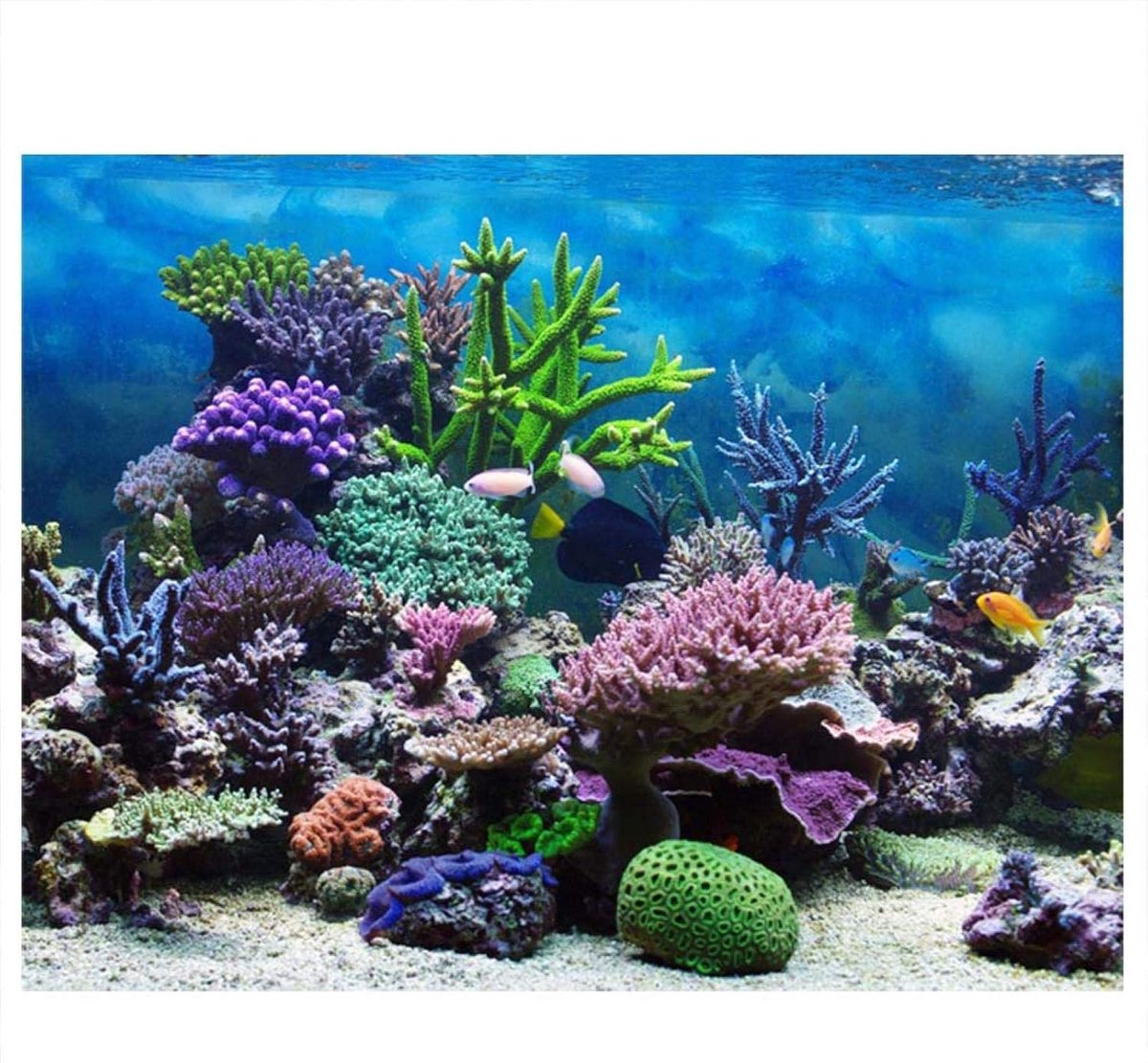achtergrond voor aquarium - kleurrijke afbeelding - PVC materiaal - eenvoudig te bevestigen - ShopVlot