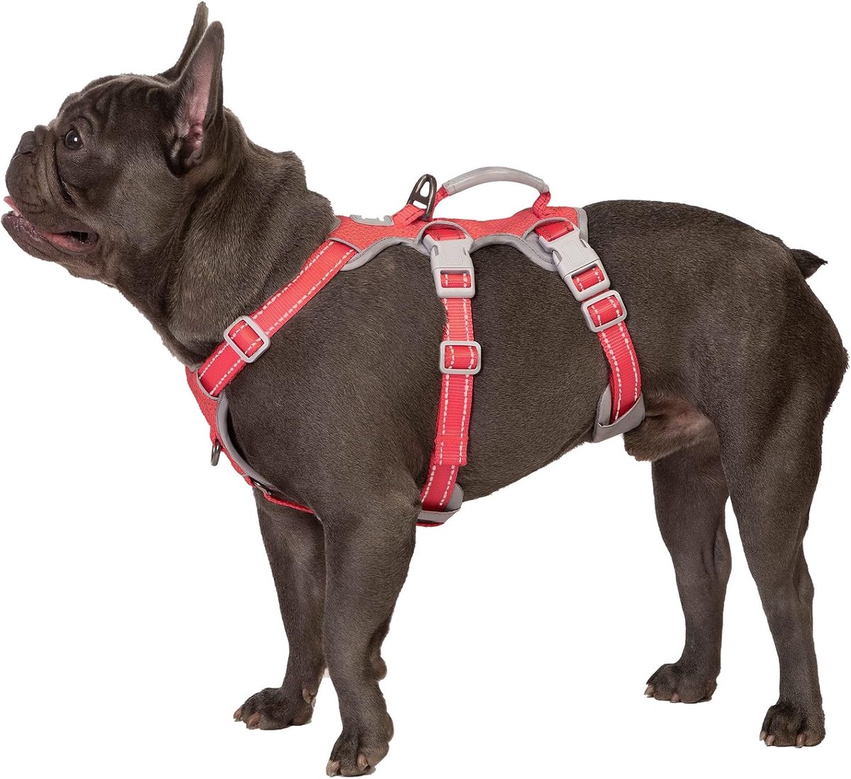 No Escape Hondenharnas, Escape Proof Harnas, Volledig Reflecterend Harnas met Handvat, Ademend, Duurzaam, Verstelbaar Vest voor Middelgrote Honden Wandelen, Hardloopuitrusting (Rood,M)