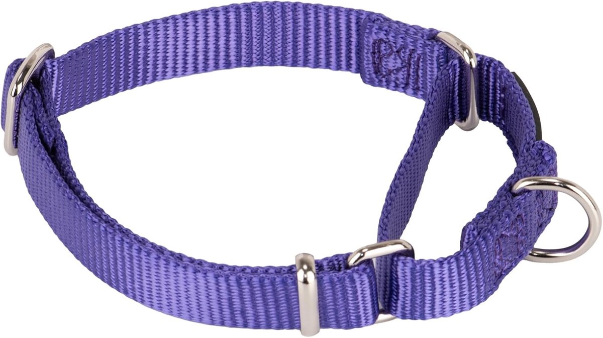 Design metalen accessoires, eenkleurige nylon halsband, Martingale hondenhalsband. Ultraviolet licht.