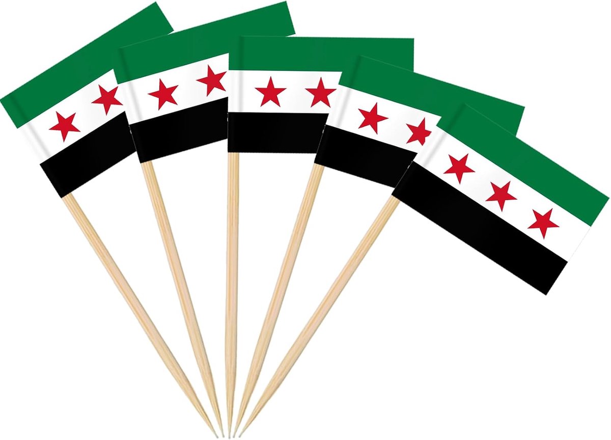 200 stuks Syrische tandenstokersvlaggen, Syrië decoratie vlag klein mini tandenstoker Syria vlaggetje Syrische Arabische Republiek drie sterren cupcake topper voor tuin festival buiten binnen