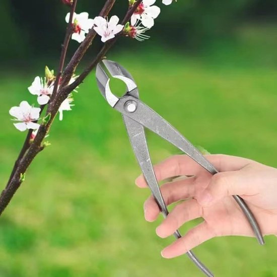 Bonsai Gereedschap - Takken Snoeier Tuin - Bomen Vormgeven - Nauwkeurig Snijden - 21 cm - Zilver — afbeelding 5