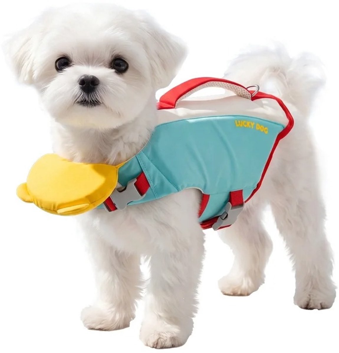 North Collective AquaPaws Pro - Hondenzwemvest - Draagbaar Zwempak - Zwemvesthond tot 5 KG - Met Handvat - MAAT S