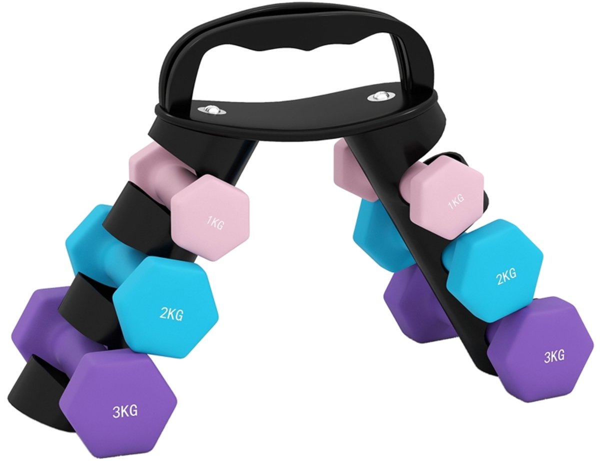 3-Paar Dumbbell - Gewicht - Fitnessapparaat - Trainingsgewicht - Set van 6 dumbbells met opbergrek, geschikt voor thuistraining en krachttraining - Metaal - 42x10x30 cm - Voor thuisfitness en training - Roze, blauw, paars