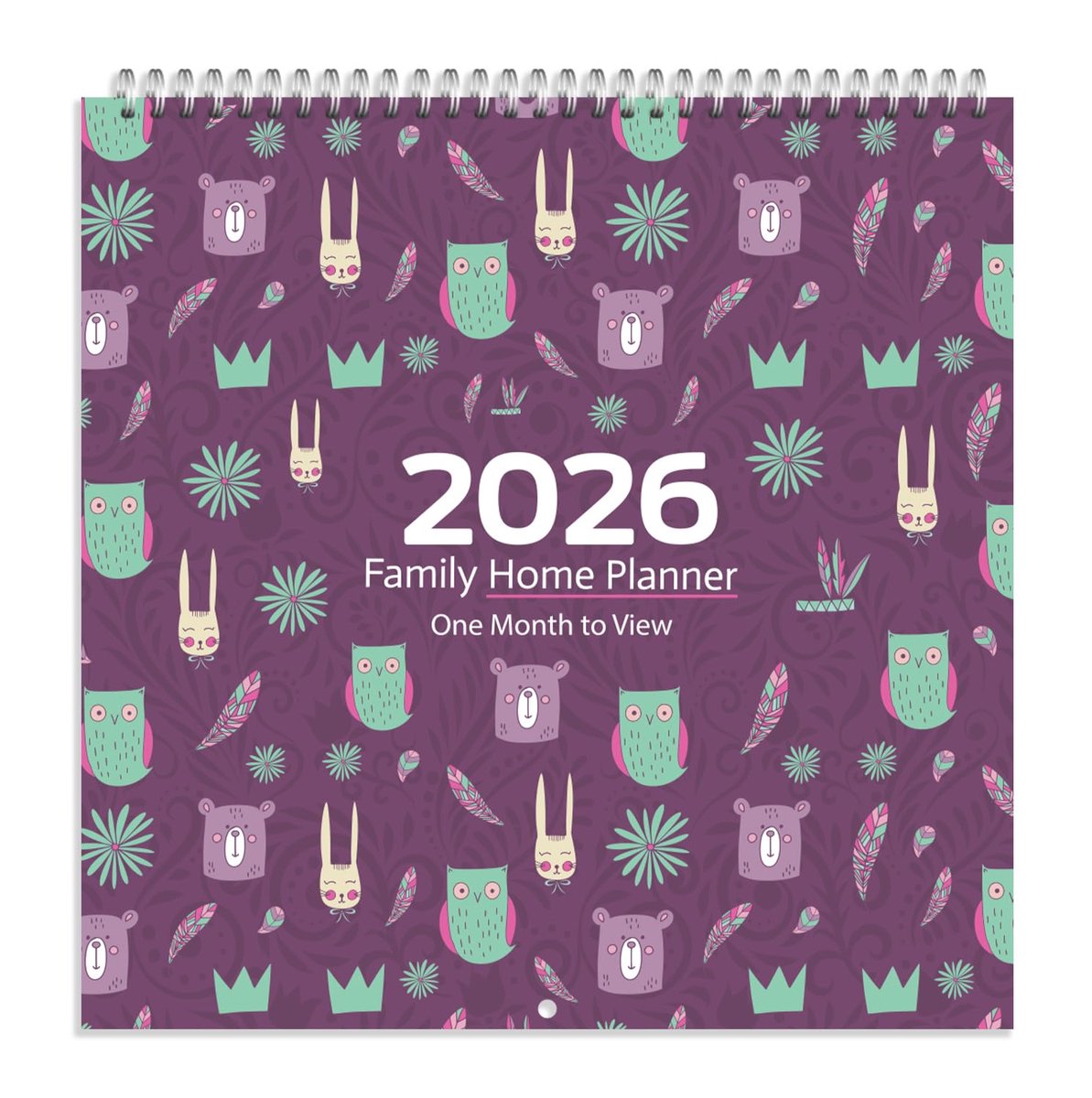 SnelShoppen - Familie Home Planner Muur Kalender 2021 - Maand-to-View Organisator met 5 Kolommen - Academische Schoolplanner Uilenkunst - Van 1 August