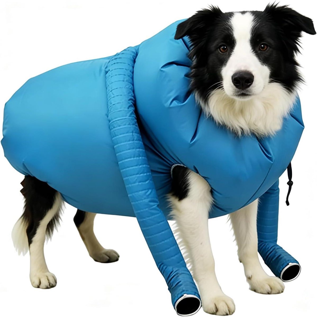 Droogzak voor huisdieren - Honden droger - Huisdier drogen - Gelijkmatige luchtcirculatie - 3 maten - Niet gespecificeerd