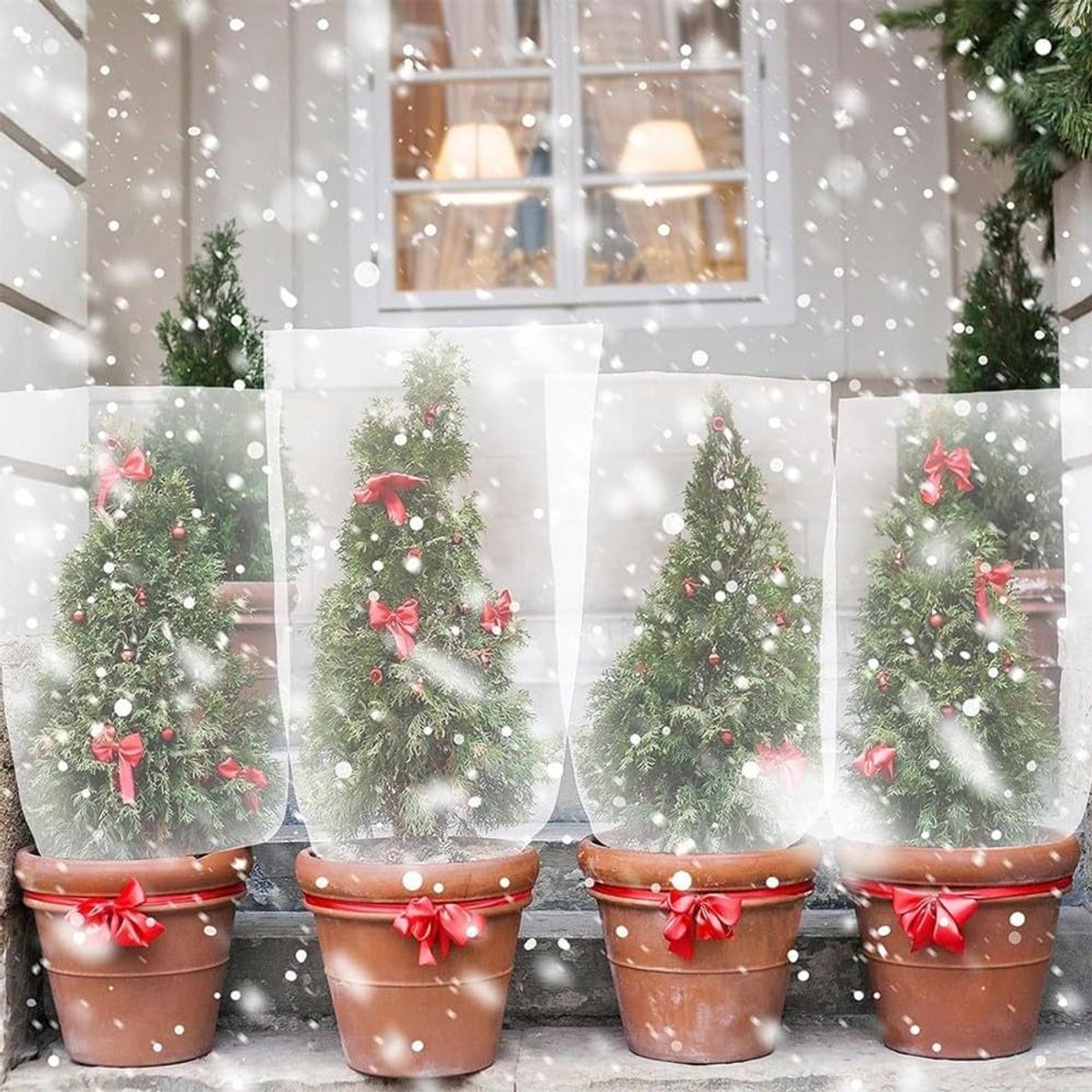 Winterplantenhoezen - Vorstbescherming planten - Planten beschermen - Transparante folie - 150 x 160 cm - Transparant