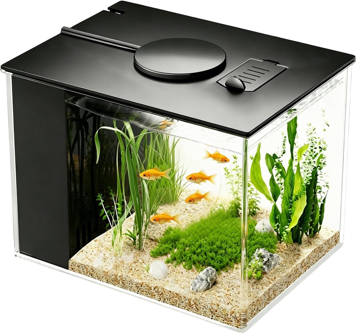 SnelShoppen - 3,7L Mini-Aquarium van Acryl met Filterpomp en LED Verlichting, Compleet Set voor Kleine Vissen, Garnalen en Planten in Zwart