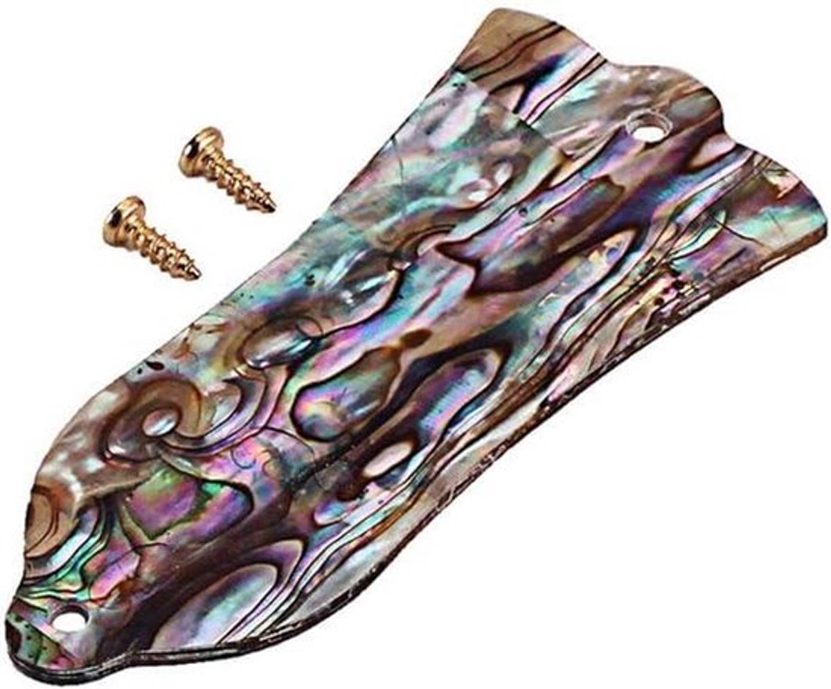 Abalone Shell Truss Rod Cover voor Les Paul Gitaar - Natuurlijk Patroon - Compatibel