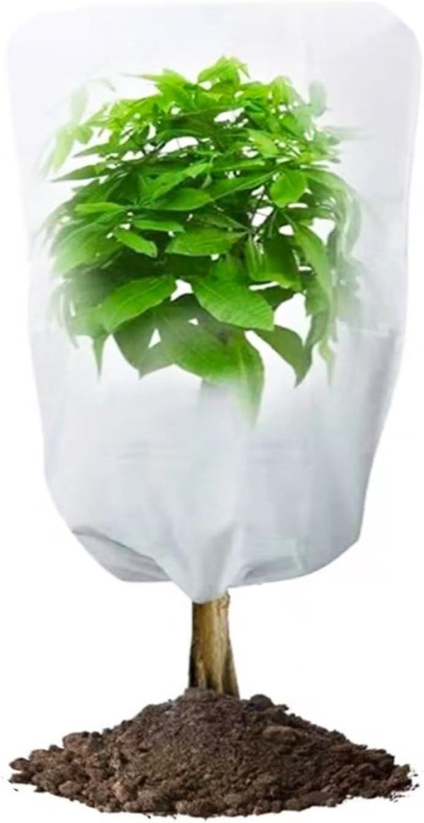 Winterbescherming voor planten met trekkoord, vorstbescherming voor bomen en struiken, 80 x 100 cm, ideaal voor koude maanden