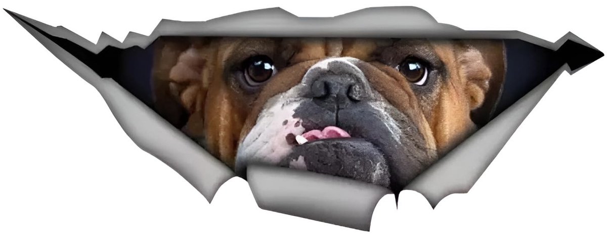 SolidKeus - Reflecterende Autosticker Bulldog, 15 cm, 3D Ontwerp