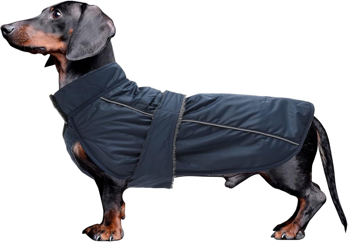 Waterdichte hondenjassen voor teckels en puppy's, winterjas met gevoerde fleece, verstelbare straps en buikbescherming, ideaal voor buitenactiviteiten, maat M