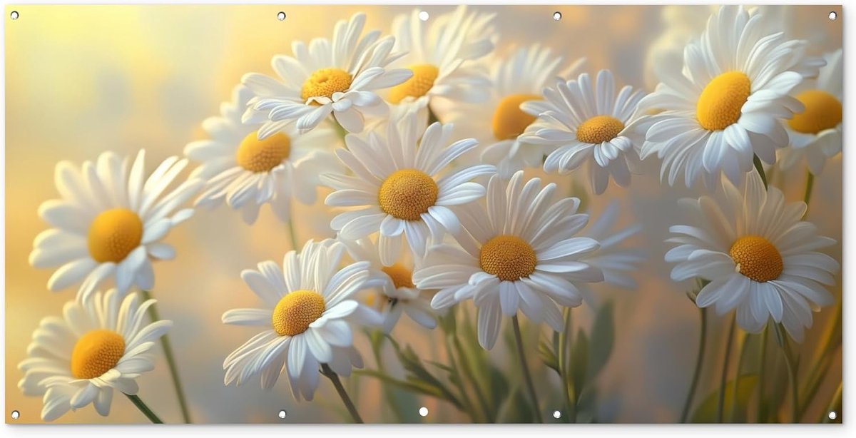 Tuinposter 200x100 cm Balkon Tuindecoratie Poster Garden Outdoor Posters Tuin Decoratie Tuinposters Voor Buiten Terras Tuinmuurdecoratie Madeliefjes - Wit - Zonlicht