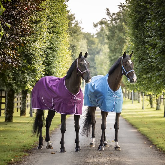 Twee donkerbruine paarden, één met donkerrode deken, één met lichtblauwe deken, staand op een pad.