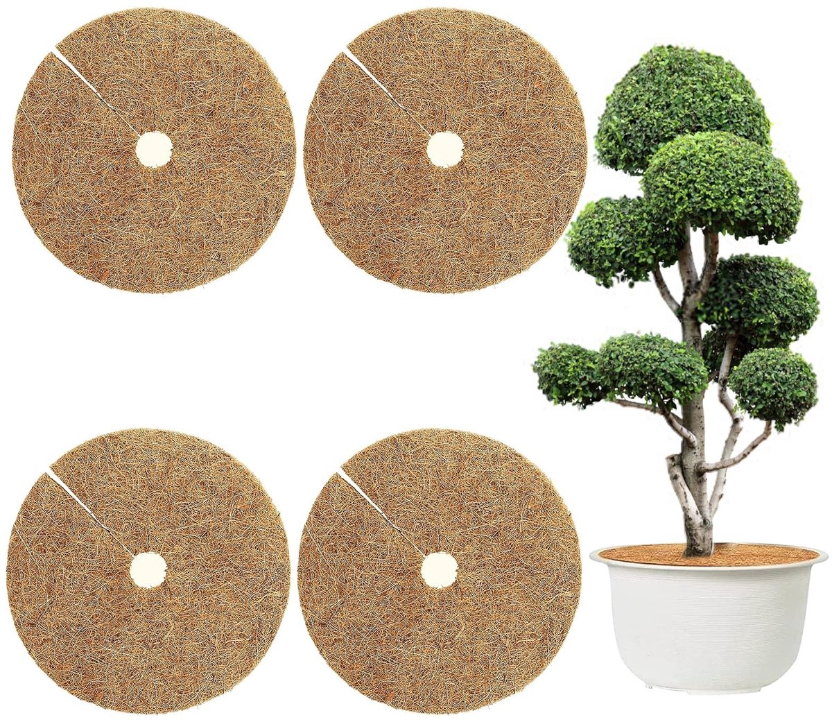 SolidKeus - 4 Stuks Kokosmatten voor Plantenbescherming