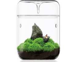 Klein glazen plantenterrarium 4,7 "X7" Inches Succulente Lucht Planter Varenmos Micro-Landschap Vaas voor Thuis Tuin Kantoor Tafelblad Decoratie Container met Deksel Indoor Wardian Copyright