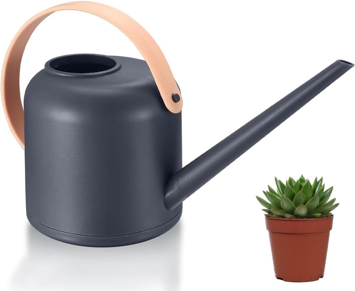 Gieter voor kamerplanten, 1,7 l, kleine gieter, bloemgieter, kunststof, lange uitloop voor woning, buitenplanten, vetplanten (grijs)