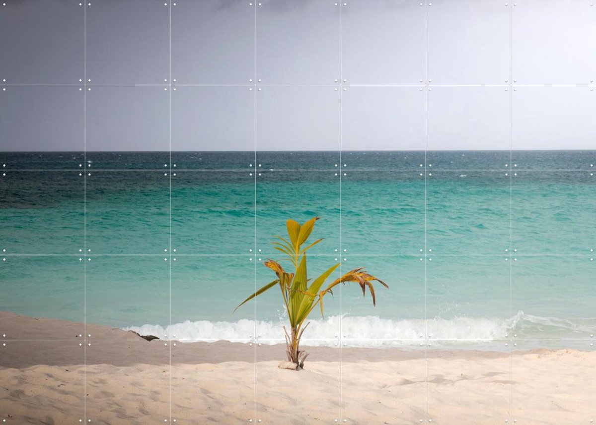 IXXI Lonely Palm On Quiet Tropical Beach, Claire Droppert - 140 x 100 cm - Gratis ophangtool - Grote wanddecoratie en posters - Fotografie