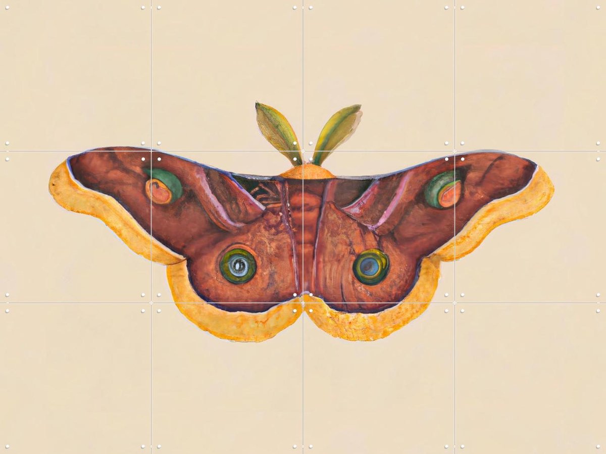 IXXI Butterfly Effect, Interiorisla - 80 x 60 cm - Gratis ophangtool - Grote wanddecoratie en posters - Abstract, Kleurrijk, Slaapkamer, Kinderkamer