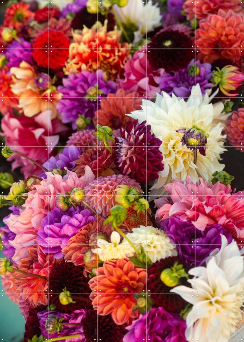 IXXI Dhalias, Margriet Hulsker - 100 x 140 cm - Gratis ophangtool - Grote wanddecoratie en posters - Fotografie, Kleurrijk, Woonkamer, Eetkamer