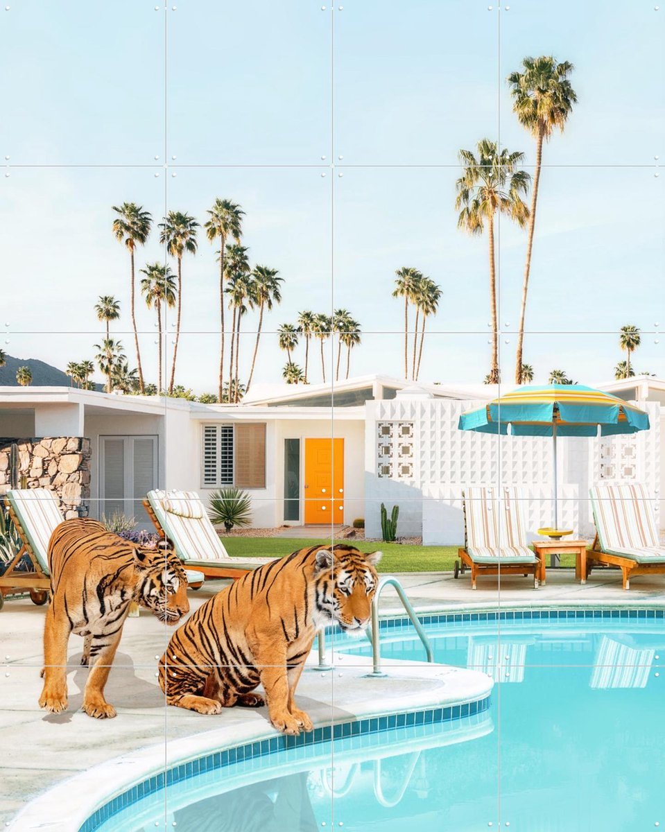 IXXI Tigers at the Pool, Paul Fuentes - 80 x 100 cm - Gratis ophangtool - Grote wanddecoratie en posters - Modern, Strandhuis, Woonkamer, Dieren