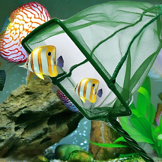 2 stuks visnetten, fijn net, klein aquariumnet met kunststof handvat, voor kleine vissen en garnalen, aquarium — afbeelding 3