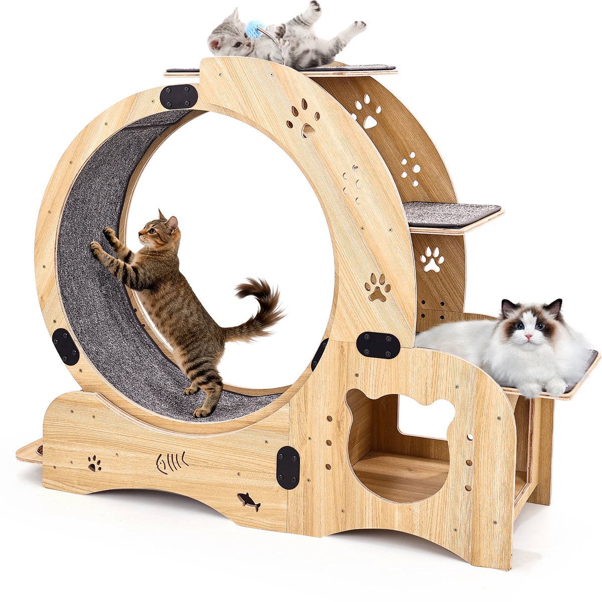 Katten Loopwiel - Looprad Voor Kat - Cat Wheel - Kattenwiel - 6 in 1 Multifunctioneel kattenloopwiel - Stevig Hout - Binnen - Stil - Kattenmeubels - Draagvermogen tot 20 kg