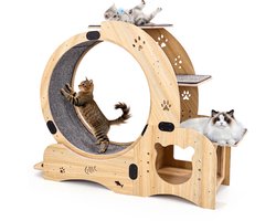 Katten Loopwiel - Looprad Voor Kat - Cat Wheel - Kattenwiel - 6 in 1 Multifunctioneel kattenloopwiel - Stevig Hout - Binnen - Stil - Kattenmeubels - Draagvermogen tot 20 kg