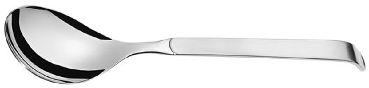 Amefa Horeca Buffet Slalepel Klein Sleeve