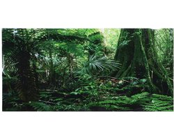 3D Effect Regenwoud Poster Zelfklevend Reptiel Terrarium Aquarium Achtergrond Aquarium Muursticker Aquarium Achtergrond Onderwater Poster PVC Decor Behang (61 × 30cm)