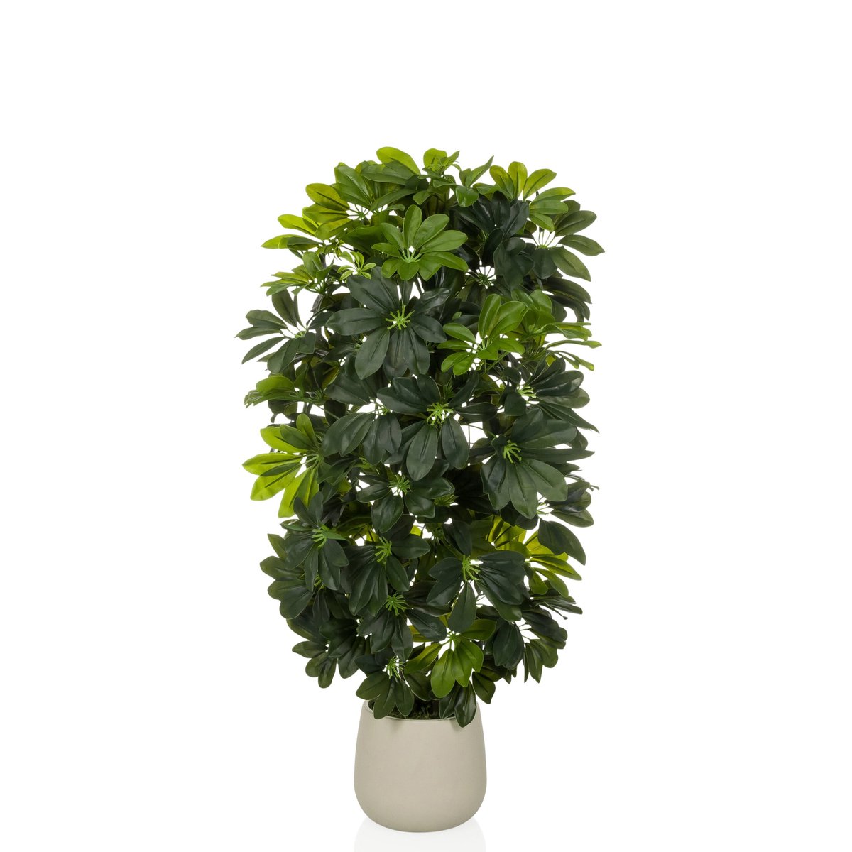 hjh office Kunstplant / Kunstboom SCHEFFLERA 2 Strahlenaralie 110 cm kunststof groen hjh OFFICE