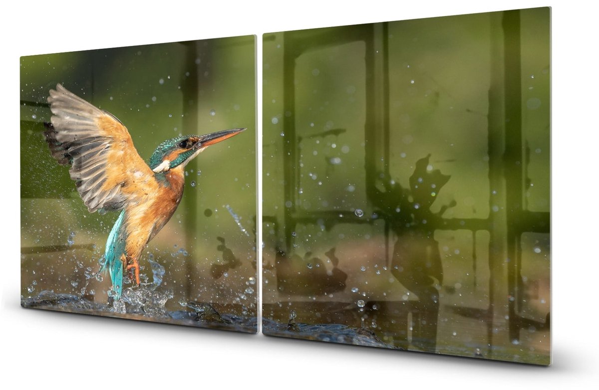 Mydesignglas Glazen Inductie Beschermer - Krasvrij Gehard Glas met Antislip - Afdekplaat voor Kookplaat - Spatscherm Achterwand Keuken - Ijsvogel - 2x45x52