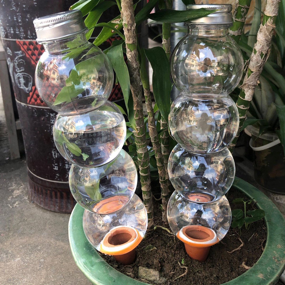 4 stuks 520 ml irrigatieballen, pompoenvorm, automatische irrigatie voor planten, transparante irrigatieballen voor kamerplanten, waterballen voor hoge planten, balkonbloemen (transparant)