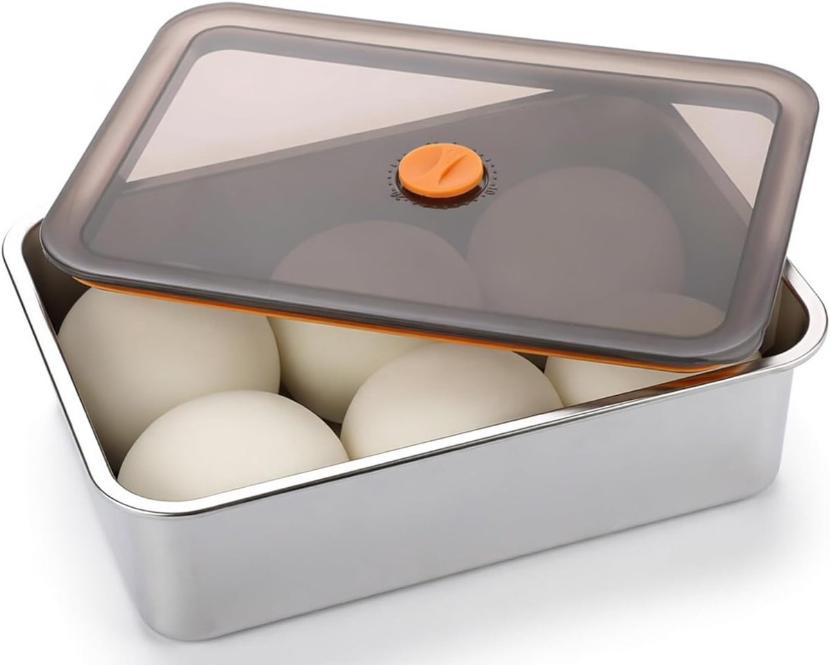Pizzaballendoos met deksel, roestvrij staal, met deksel, lichte pizzabox voor deeg, fruit, salade, cake, vlees (30 x 21 x 8,5 cm)