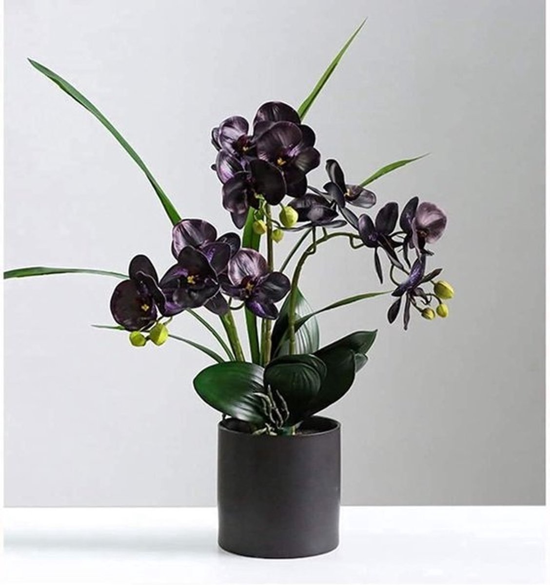 Kunstorchidee in pot - Nep bloem Kunstplant - Woondecoratie - Levensechte uitstraling - 65 cm hoog - Wit