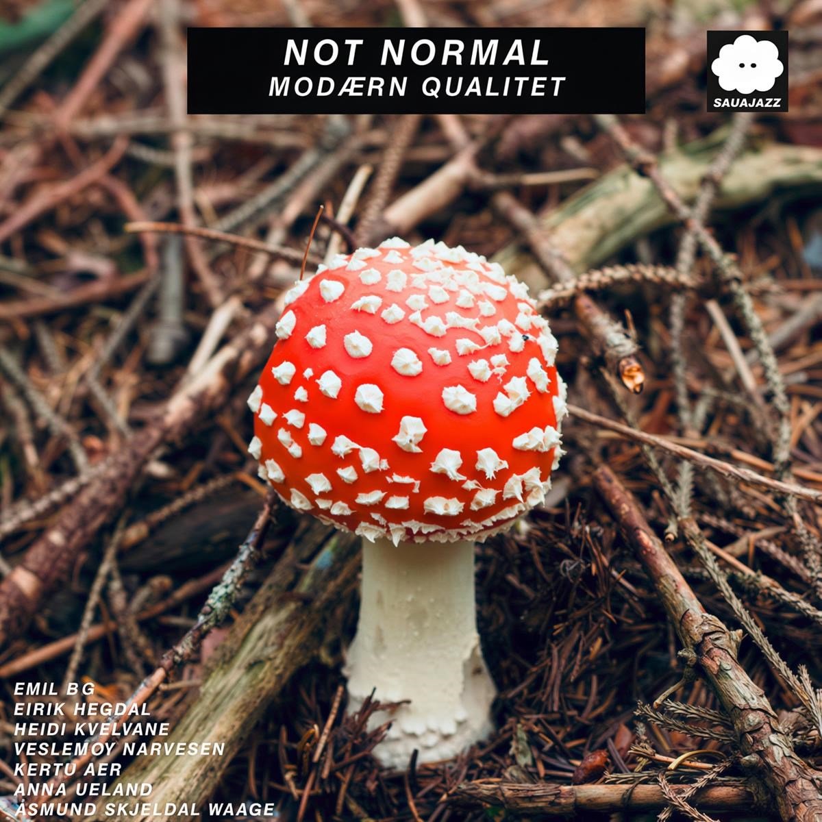 Not Normal - Modaern Qualitet