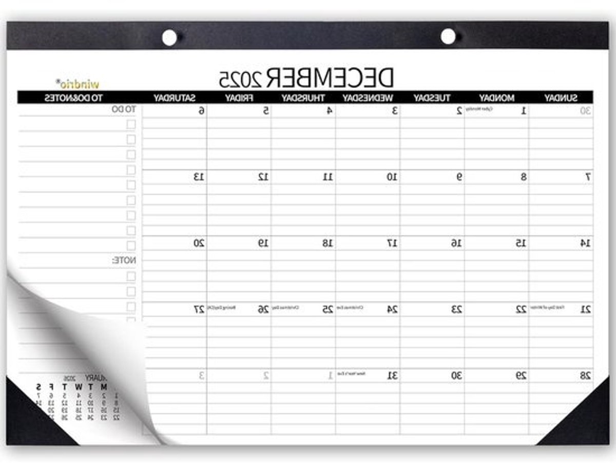 Bureaukalender - Maandplanner Agenda - Planning Organisatie - Ruime Schrijfruimte - 17 x 12 inch - Multicolor