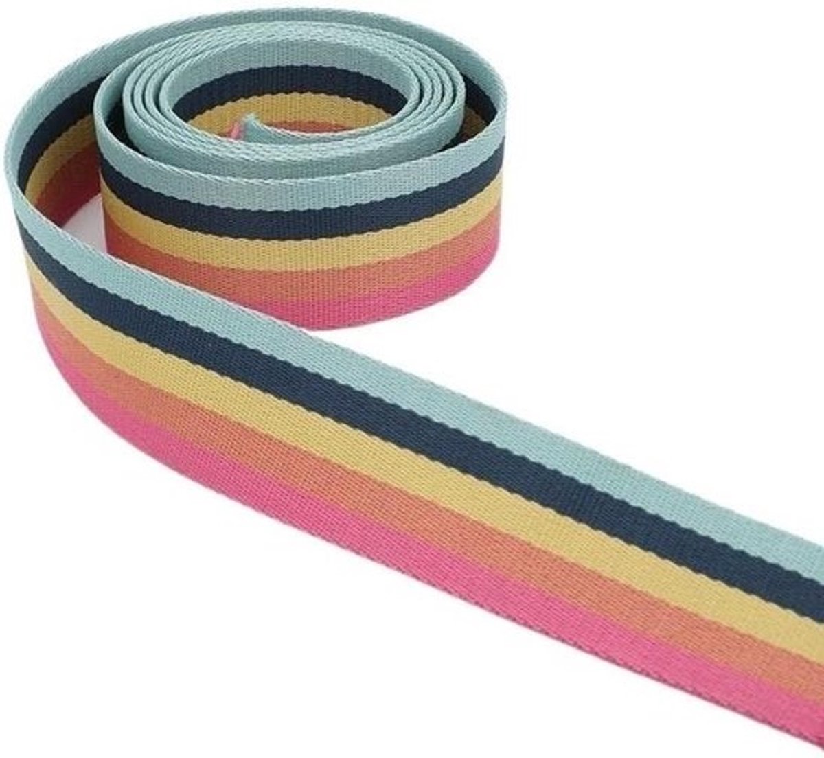 Polyester Webbing - Band Singels - DIY Projecten - Duurzaam Materiaal - 2 Meter - Niet gespecificeerd