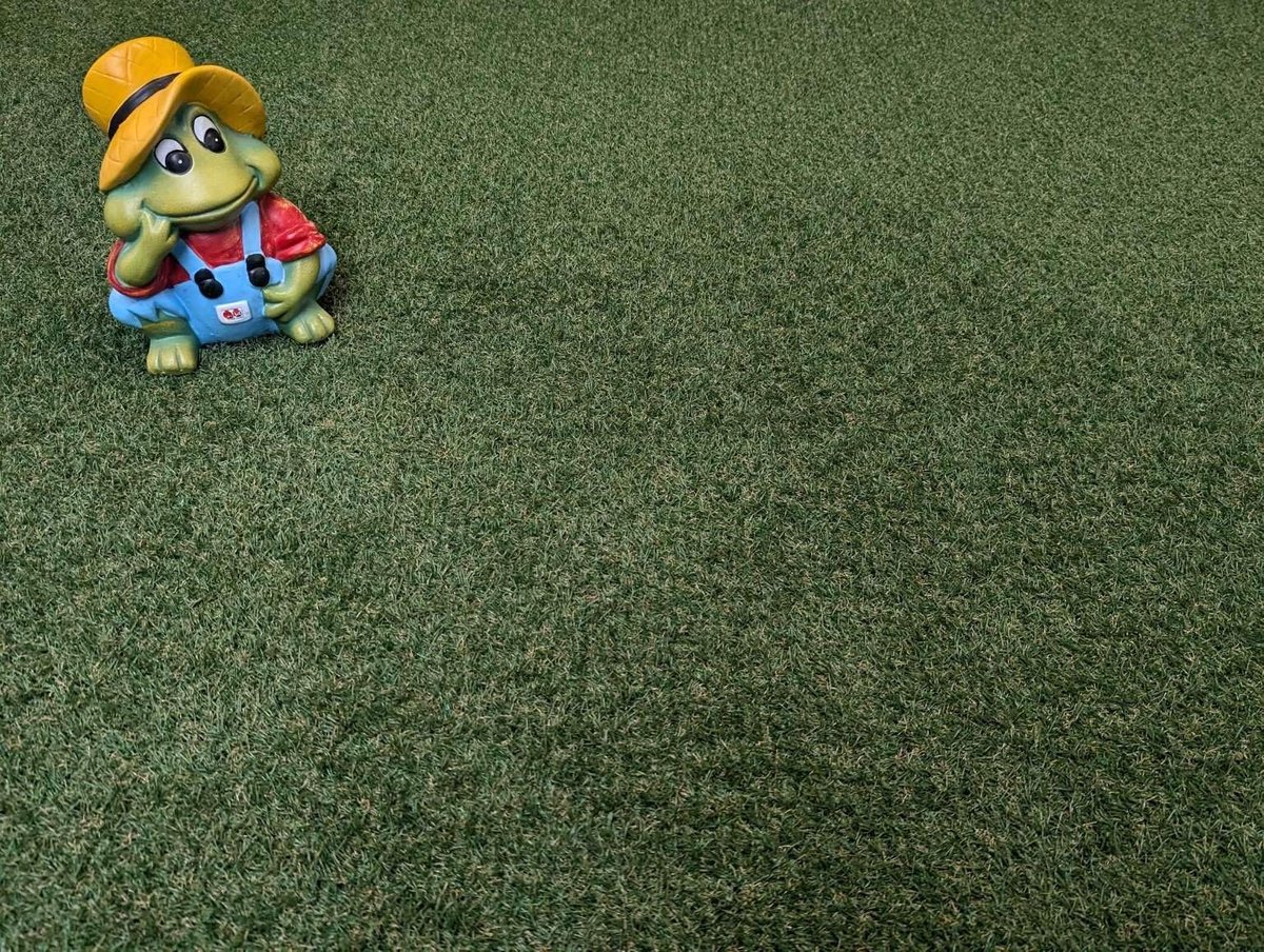Kunstgras Tapijt - Realistische Grasstructuur - 2m breed, 28m lang