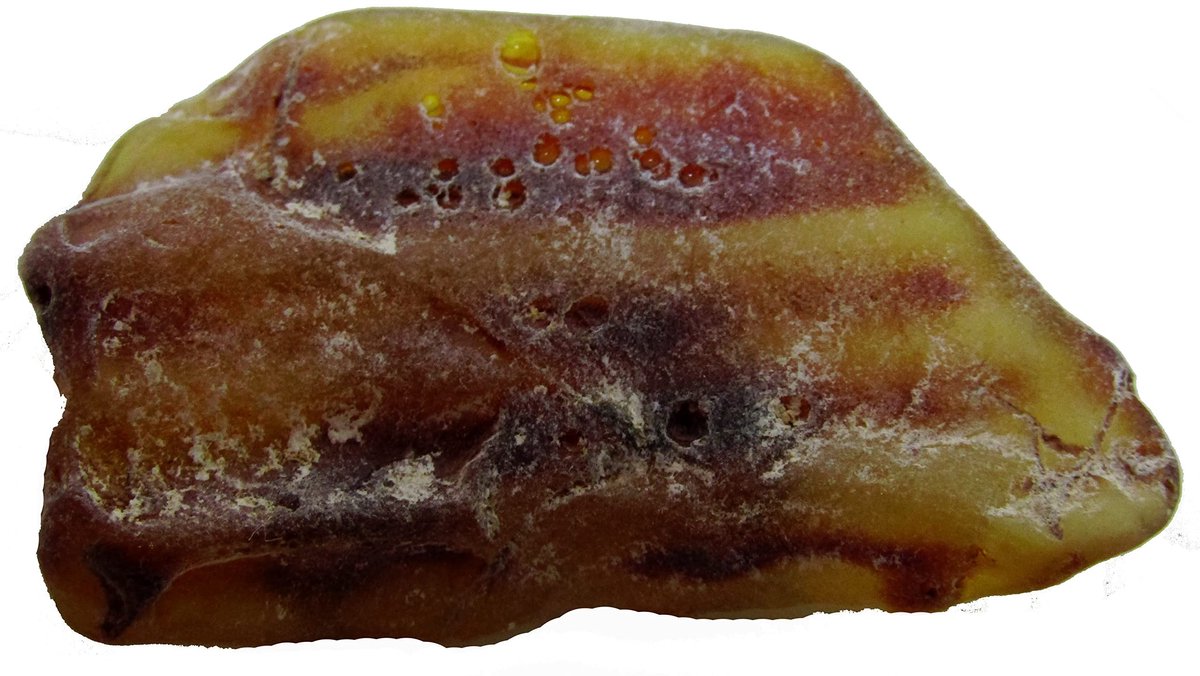 Amber Opal Ruwe Steen - Natuurlijk