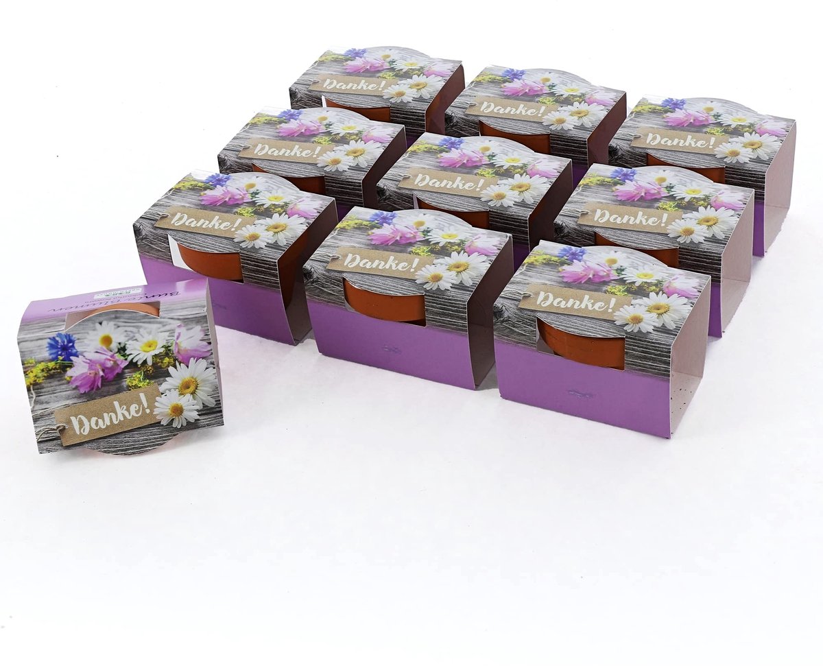 Solidchoice - Set van 10 Mini Planten met Zaden en Potten, 'Danke'