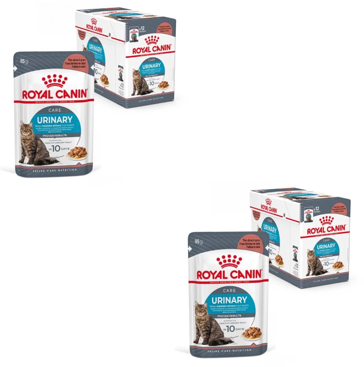 Solidchoice - Urineweg Ondersteunend Voer voor Volwassen Katten in Saus, 2 x 12 x 85 g