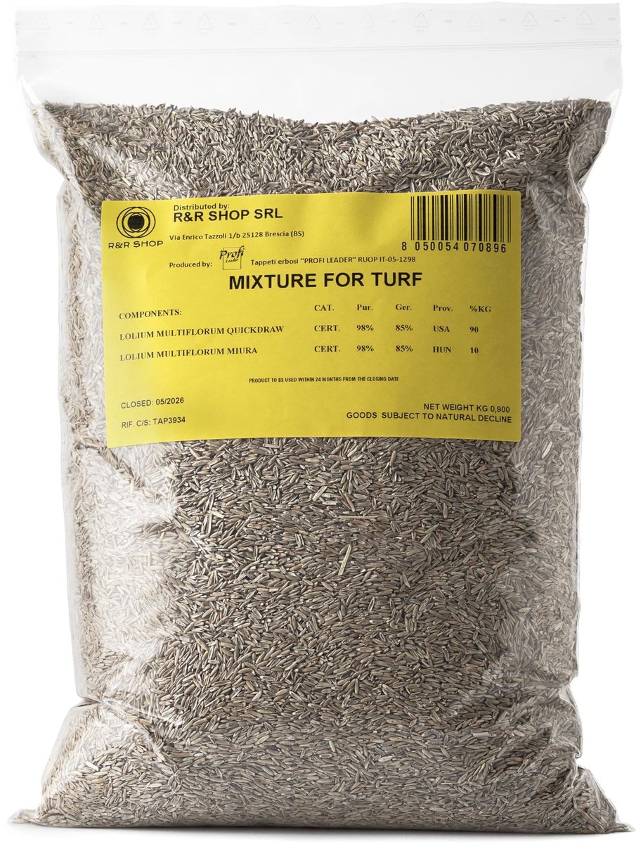 Solidchoice - Snelle Ryegras Zaden voor Gazons, 900 g