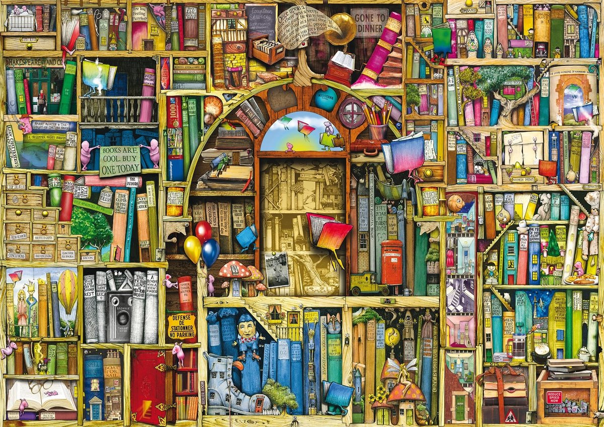 Solidchoice - De Bizarre Boekwinkel Puzzel 1000 Stukjes
