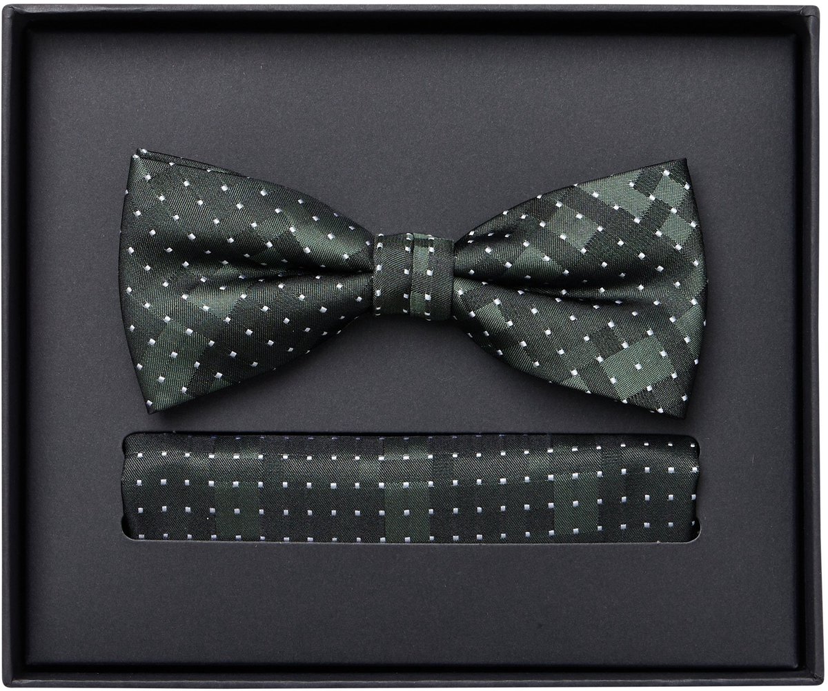 VENTI set met vlinderdas en pochet - groen met blauw en beige dessin